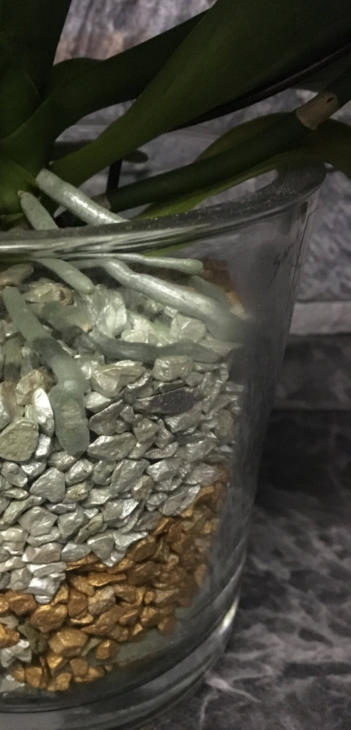 Colomi Orchideensubstrat im Detail