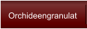Orchideengranulat
