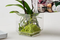 Einpflanzen im Colomi Care Orchideentopf