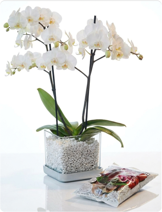 Colomi Care Pflanztopf und Orchideengranulat