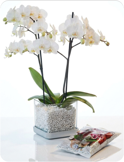 Colomi Care Pflanztopf und Orchideengranulat