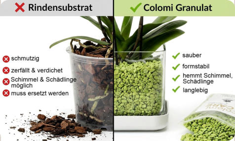 Colomi Orchideengranulat vs Rindensubstrat