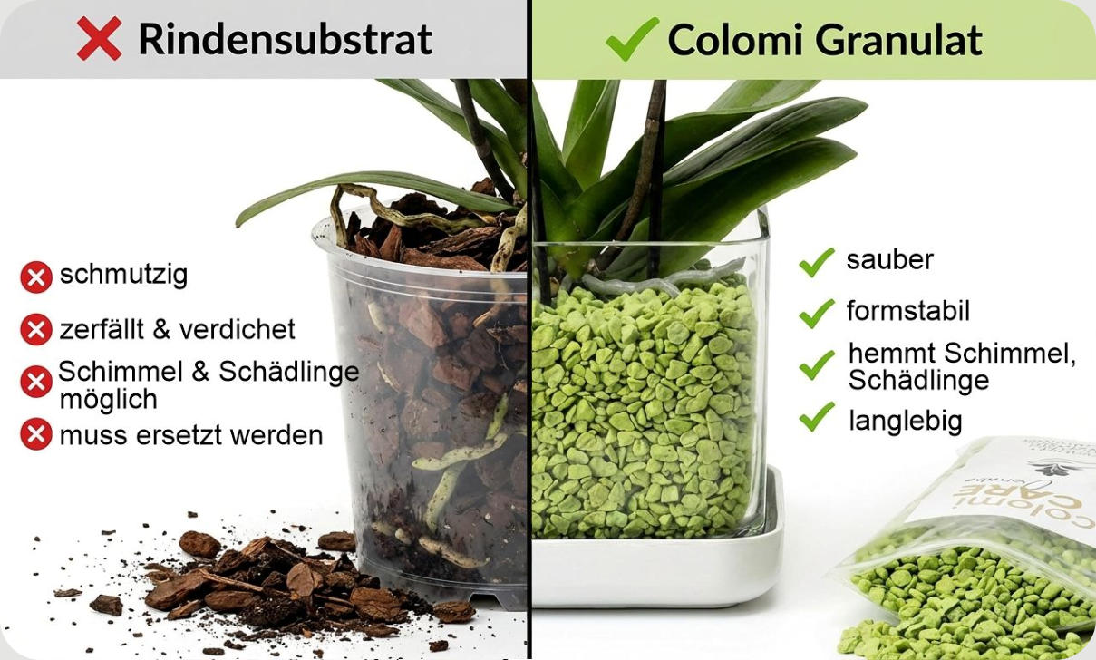 Colomi Orchideengranulat vs Rindensubstrat