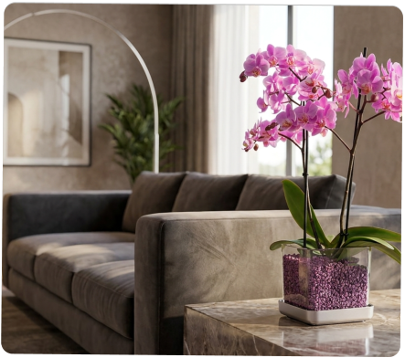 Colomi Care Orchideen Pflanztopf und Orchideengranulat