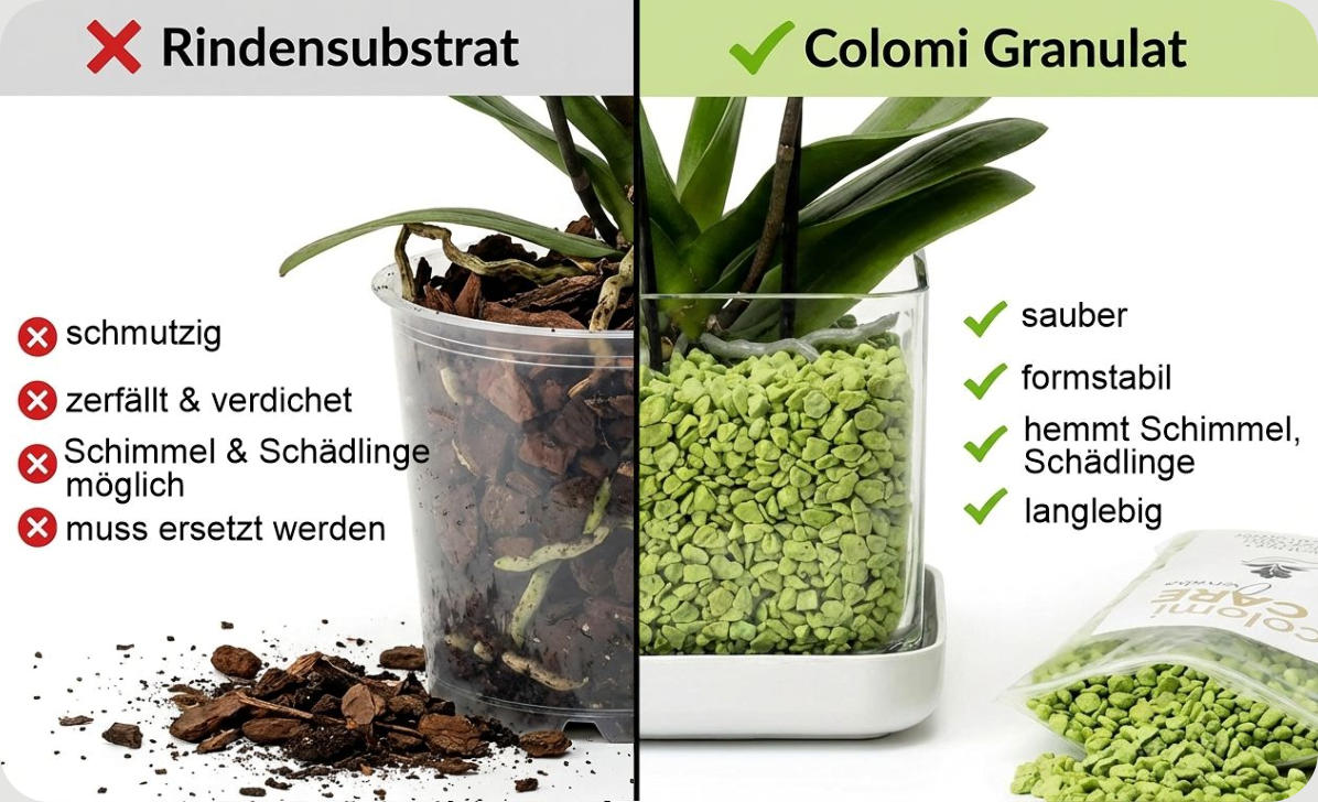 Colomi Orchideengranulat vs Rindensubstrat