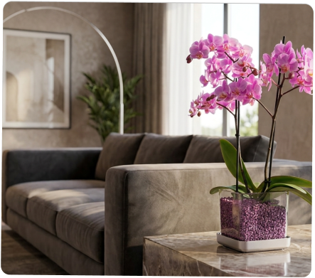Colomi Care Orchideen Pflanztopf und Orchideengranulat